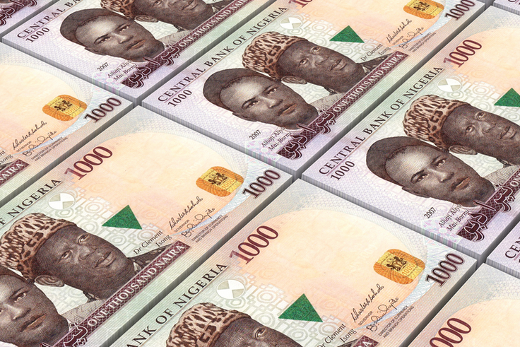 1000 naira notes
