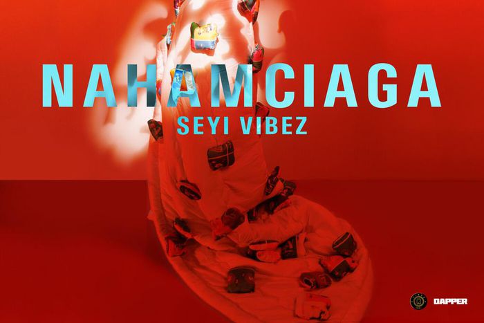 Seyi Vibez’s shows artistic evolution on 'NAHAMciaga' EP