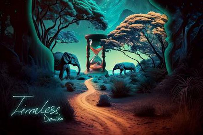 Davido - 'Timeless'