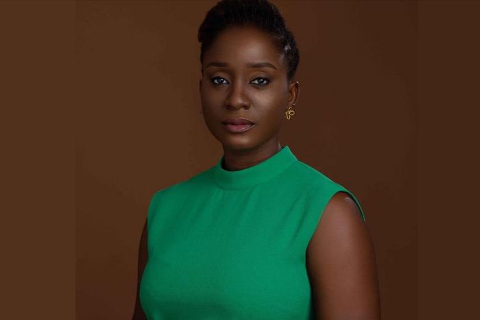 Adun Okupe is a seasoned professional in tourism.