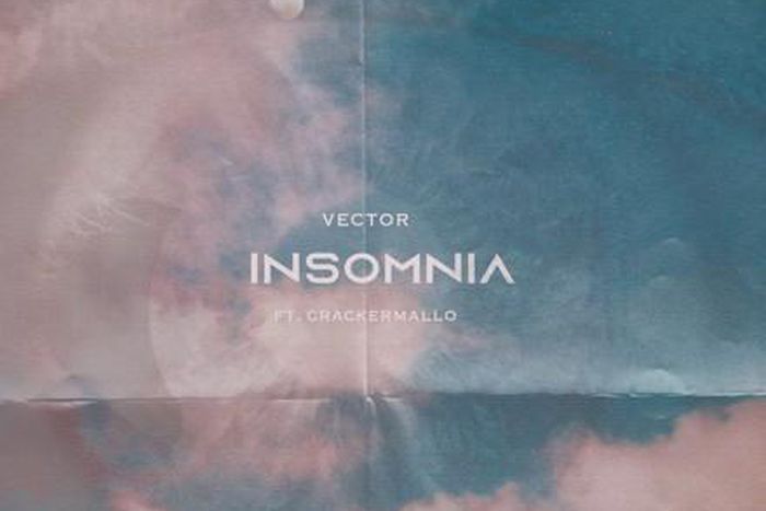 Vector X Crackermallo - 'Insomnia'