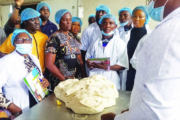 FG trains 60 master bakers on use of cassava flour in Edo. [TheGuardian]