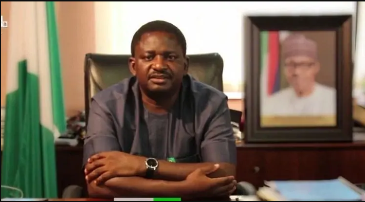 Femi Adesina [Guardian]