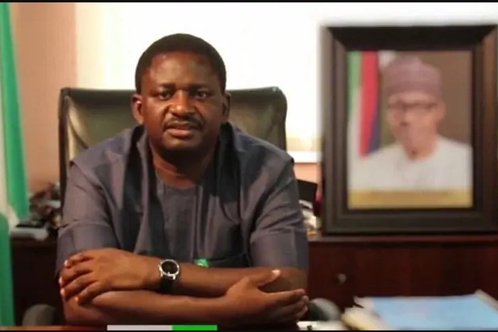 Femi Adesina [Guardian]