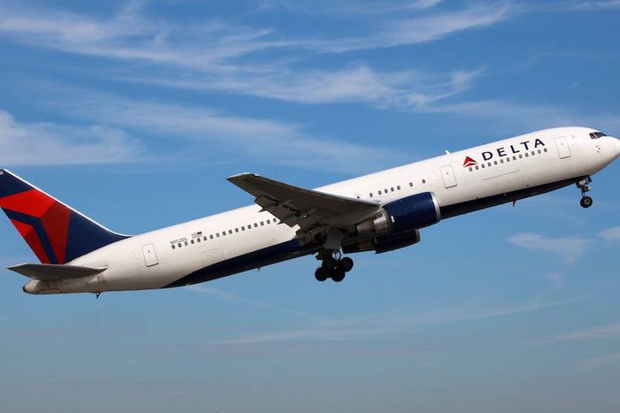 Delta Air Lines was the most timely airline in 2022.Shutterstock / Markus Mainka