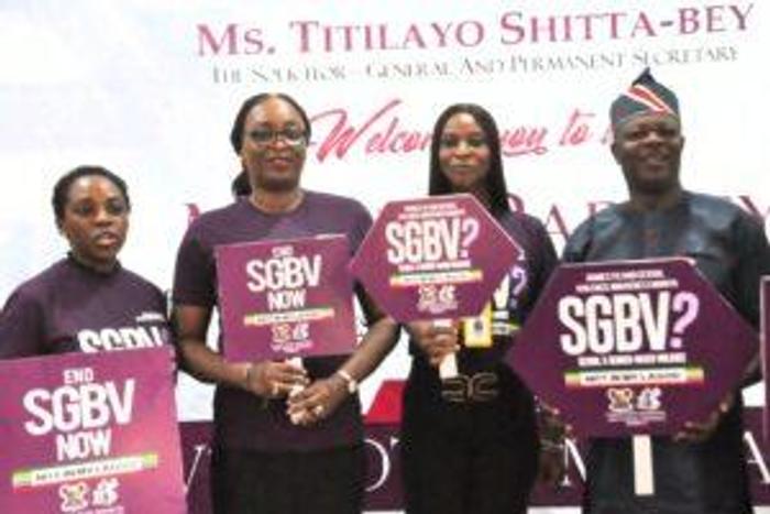 Lagos govt receives 5,624 sexual, GBV cases in 1 year. [NAN]