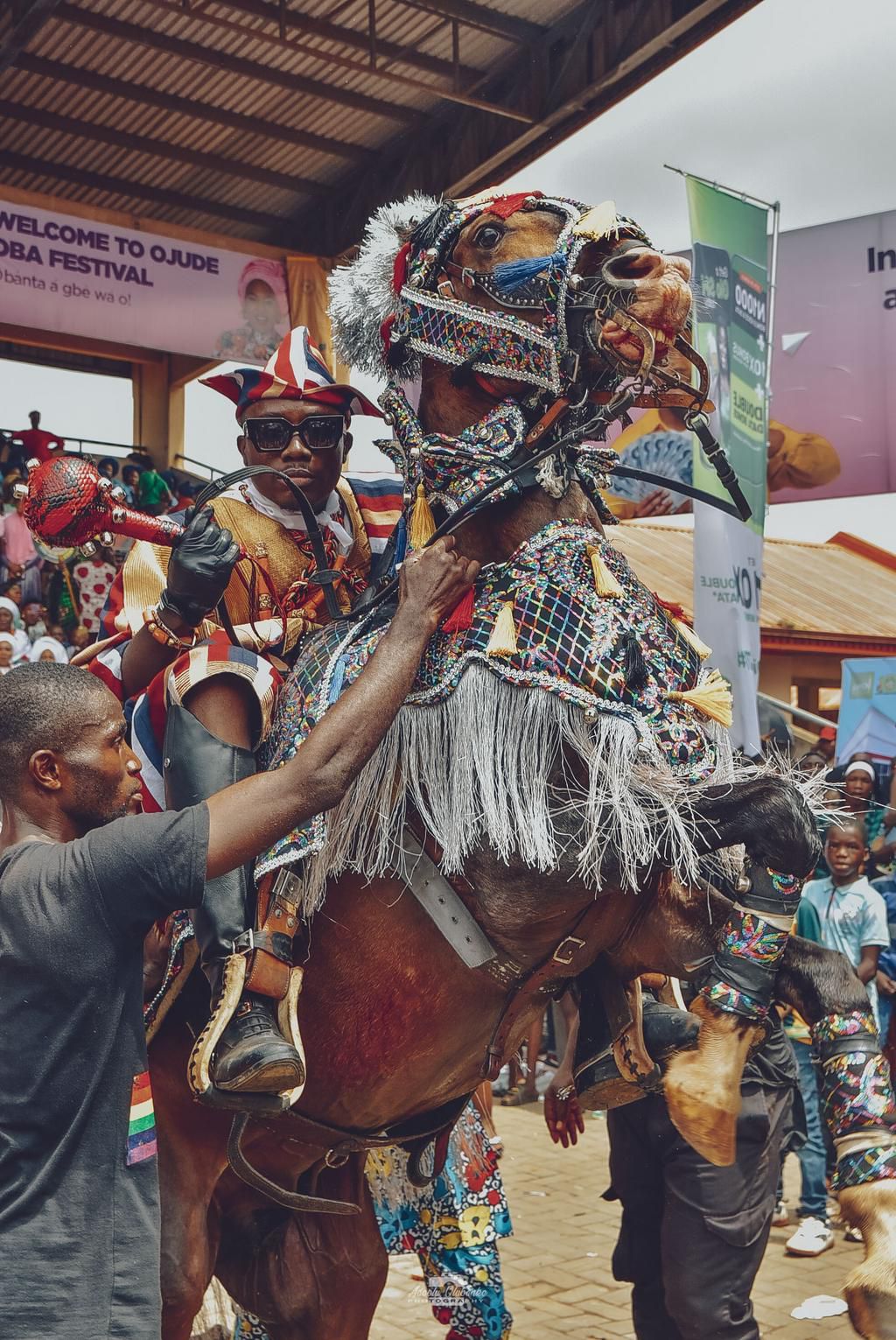 Prince Adedoyin on his horse [Instagram/@obankswillis/@kingbelaire]