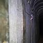 Israel has plans to flood Gaza strip tunnels with seawater [The Daily Messenger]