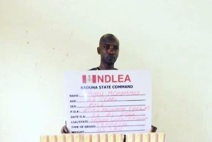 NDLEA recovers 294,440 Tramadol tabs, others in 3 states. [Twitter:NDLEA]