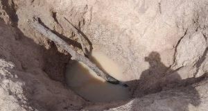 One of the ponds where residents fetch water from. [NAN]