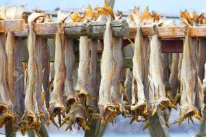 Analysis: Why stockfish should remain important in Nigerian cuisine. [NAN]
