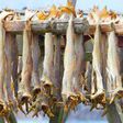 Analysis: Why stockfish should remain important in Nigerian cuisine. [NAN]