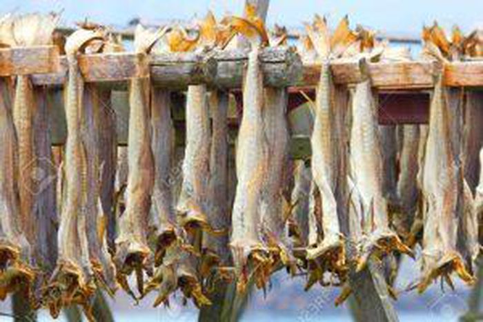 Analysis: Why stockfish should remain important in Nigerian cuisine. [NAN]