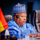 Vice President, Kashim Shettima. [Presidency]
