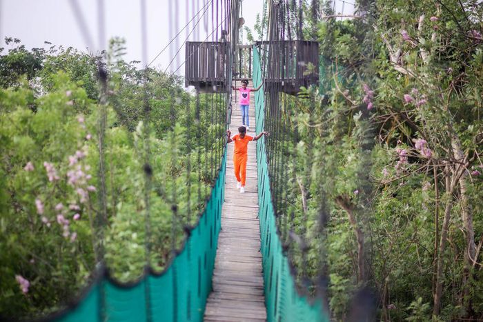 Legon Botanical Gardens canopy walkway