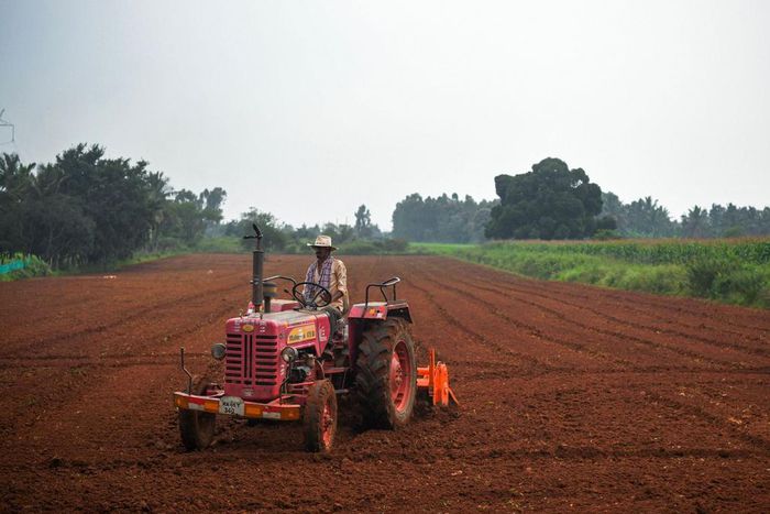 But with the development of tractors and chemical fertilizers, they are now largely unnecessary.