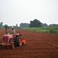 But with the development of tractors and chemical fertilizers, they are now largely unnecessary.