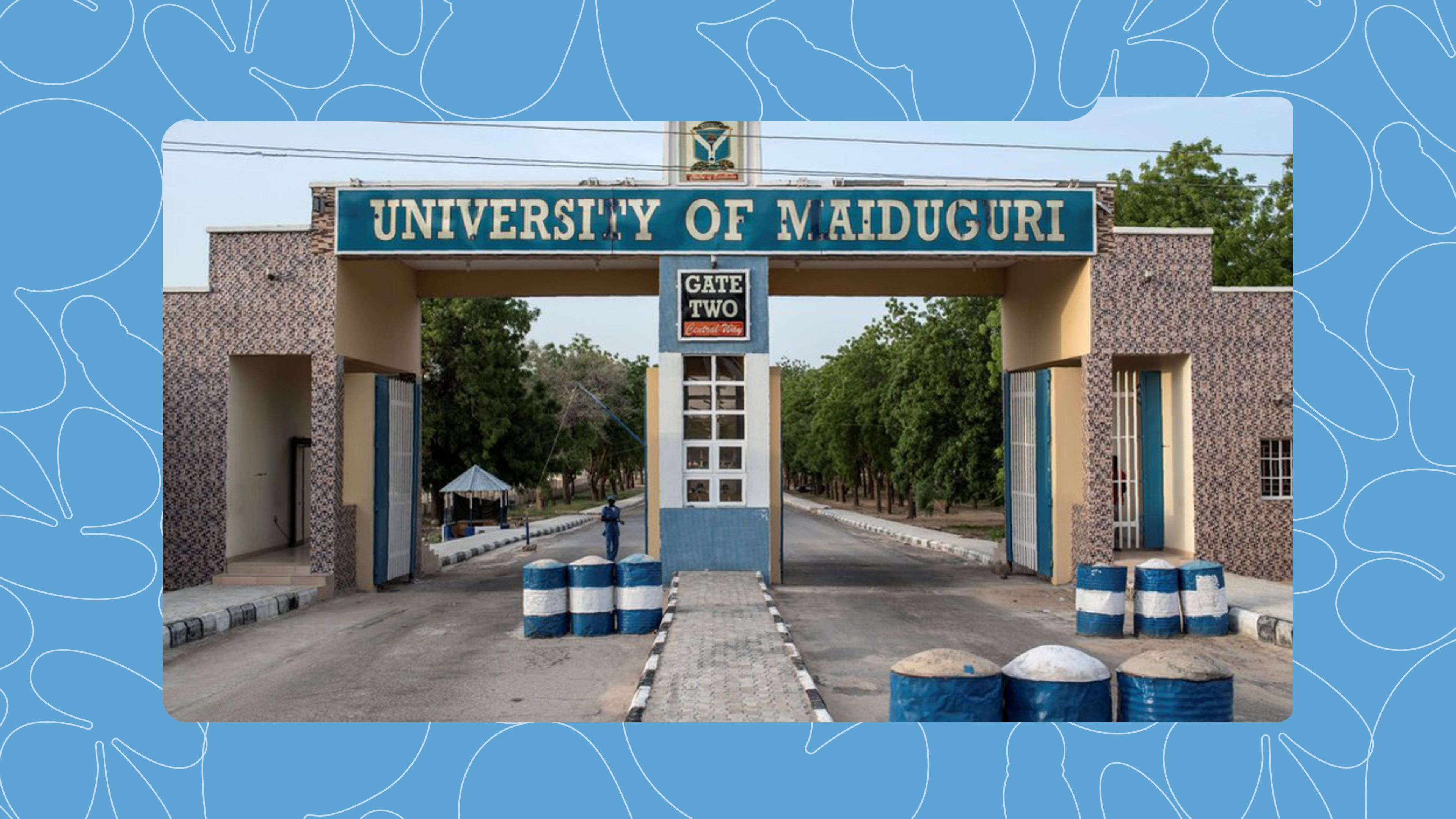 Entertainment news Celebrity gossip Movie and TV show updates Latest celebrity news Trending entertainment stories 11 Cheapest Federal Universities in Nigeria (2025)