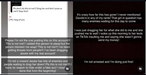 'Fake account' - Lady who accused Davido of cheating on Chioma makes U-turn
