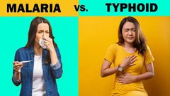 Difference between typhoid and malaria [medium]