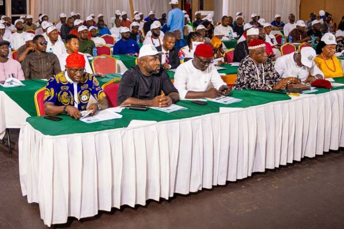 Ohanaeze Ndigbo youth body hails Tinubu for SEDC Act [NAN]