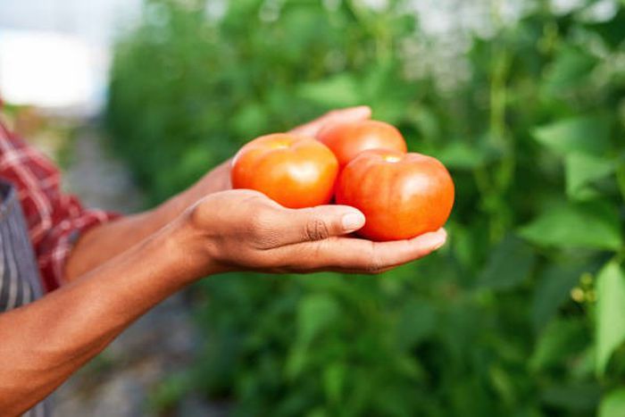 You can grow your own food [iStock]