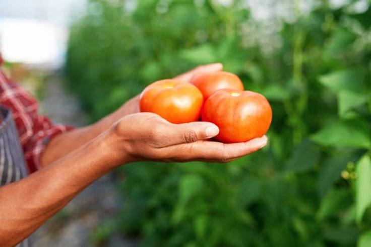 You can grow your own food [iStock]