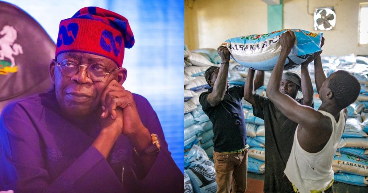 FG announces sale of 30,000mt of rice for ₦40,000/bag | Pulse Nigeria