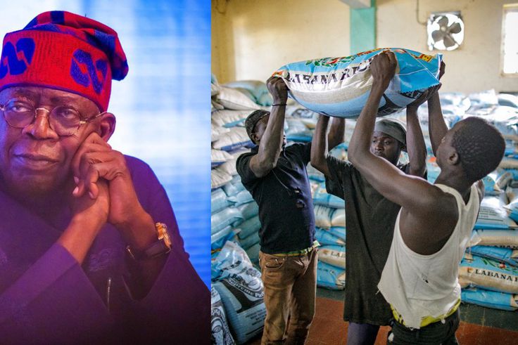 The Federal Government recently concluded plans to sell a 50kg bag of rice at ₦40,000 to public servants with a view to alleviating the food crisis in the nation and its effects on Nigerians. [Facebook/Getty Images]