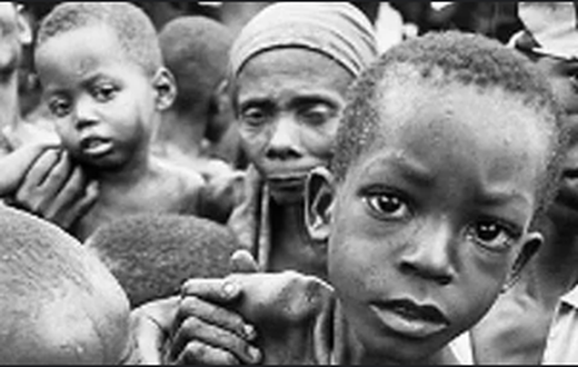 Over 733 million people faced biting hunger last year