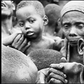 Over 733 million people faced biting hunger last year