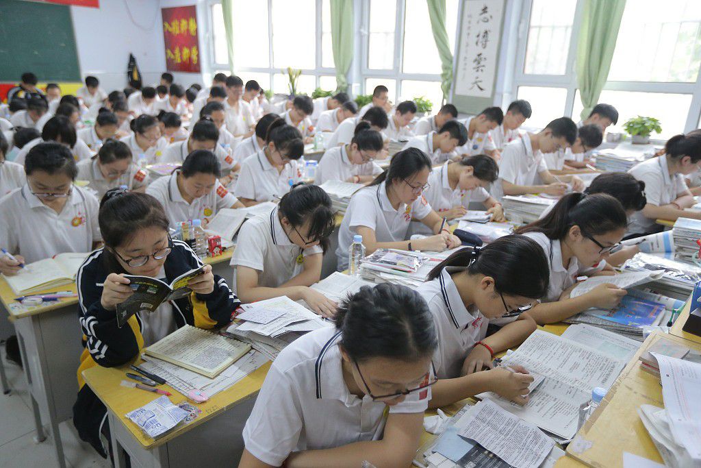 Chinese students consistently score high on international academic assessments [CGTN]