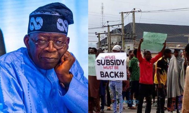 Nigerians should be thanking Tinubu for removing fuel subsidy – Presidential aide