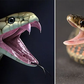 How to tell the difference between poisonous and non-poisonous snakes [reddit]
