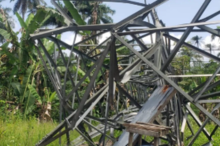 Again, vandals destroy 13 towers on Ahoada-Yenagoa 132KV transmission line [TheCable]
