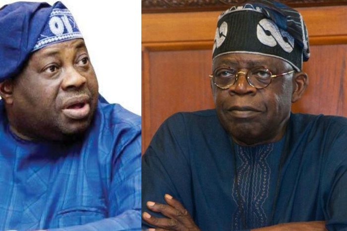 You didn't show Nigerians mercy in your speech, Dele Momodu blasts Tinubu