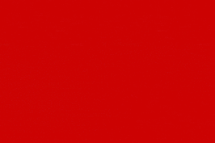 10 Valentine’s Day frequently asked questions answered