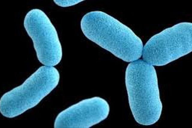 Diphtheria [Daily Post Nigeria]