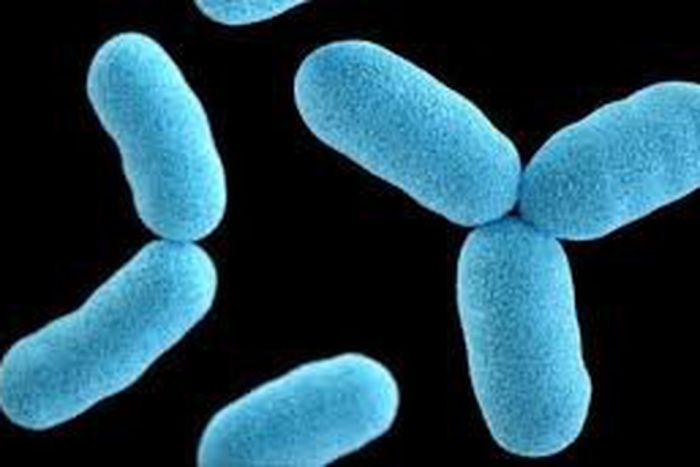 Diphtheria [Daily Post Nigeria]