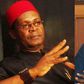 Joe Igbokwe begs Tinubu to lower electricity tariff after spending ₦20k in a day