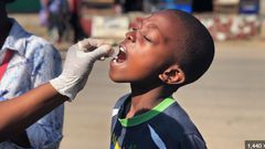 WHO reports 307,433 cholera cases and 2,326 deaths in 7 months [TheCable]