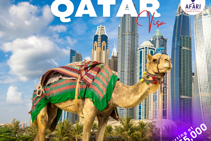 Navigating Qatar Visa Challenges: Securing your A1 visa