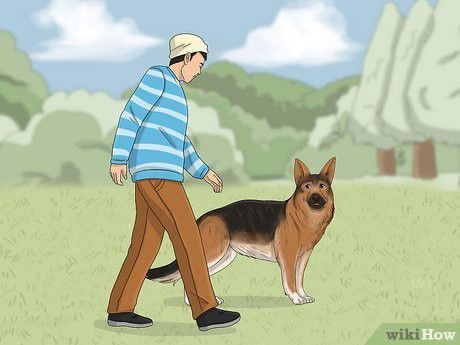 Avoid eye contact-Mytour