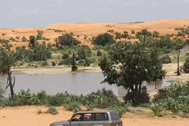 Tulo Tulo Oasis in Yusufari Local Government Area of Yobe [X.com]