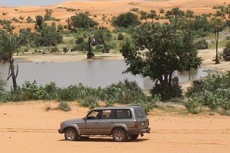 Tulo Tulo Oasis in Yusufari Local Government Area of Yobe [X.com]