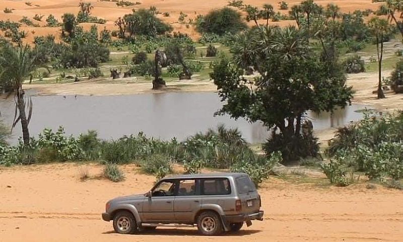 Tulo Tulo Oasis in Yusufari Local Government Area of Yobe [X.com]