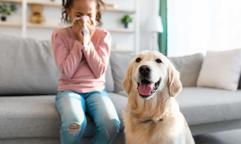 Many animals cary diseases [DogNerds]