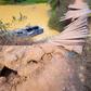 1 officer dies, 3 rescued as police patrol car chasing criminals drowns in river