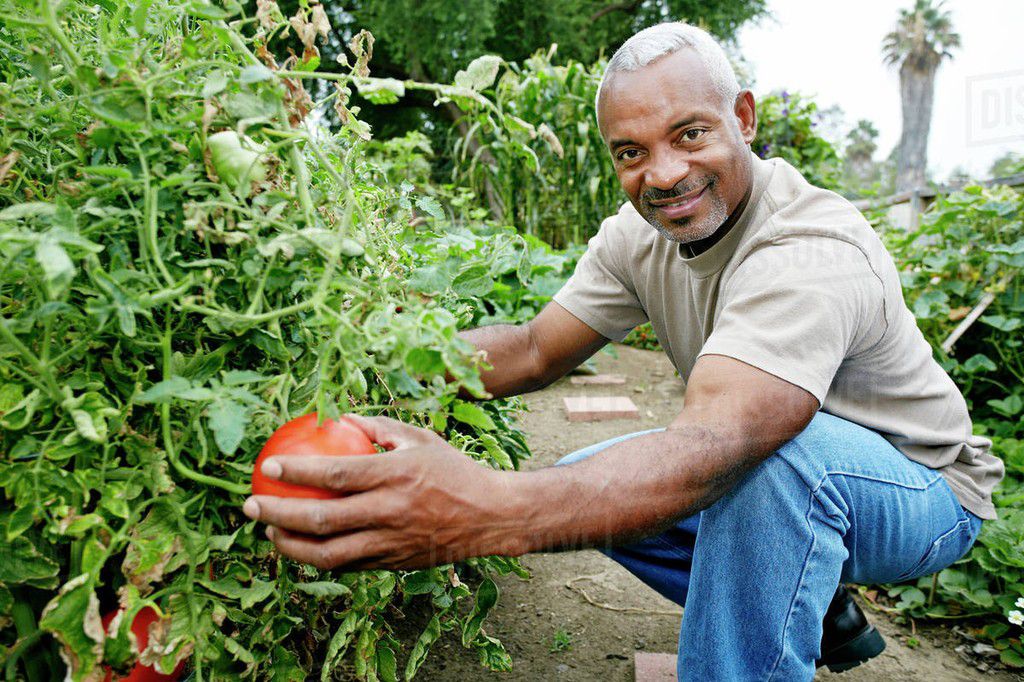 When you grow your own food, you can be sure of its quality [Dissolve]