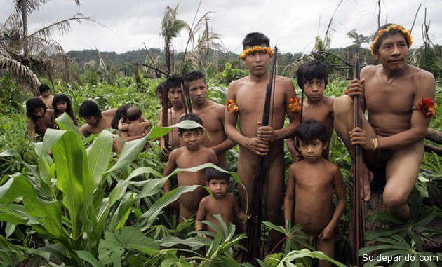 The Awa people [InfoAmazonia]